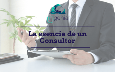 La Esencia de Un Consultor